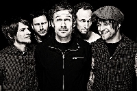 Donots - Donots News