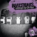 Beatsteaks - Kanonen auf Spatzen - 14 Live Songs Plus Minus Null
