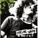 Stevie Salas - Be What It Is
