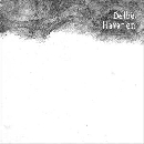 Delbo - Havarien
