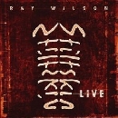 Ray Wilson, Stiltskin - Live