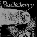 Buckcherry - 15 / Black Butterfly