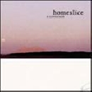 Homeslice - What is wrong with you