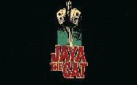 Jaya the cat