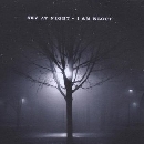 I Am Kloot - Sky At Night