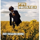 Fyfe Dangerfield - Fly Yellow Moon