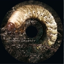 Bugfryer - Cock Chafer Grub