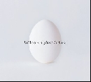 Wilco - A ghost is born
