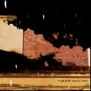 William - Tints And Shades