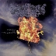Intwine - Kingdom Of Contradiction