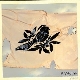 Bayside - The Walking Wounded