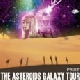 The Asteroids Galaxy Tour - The Asteroids Galaxy Tour kommen im Dezember auf Tour [Tourdaten]