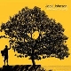 Jack Johnson - In Between Dreams