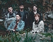 wild palms - Wild Palms aus Schottland stellen sich vor [Neuigkeit]