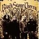 Black Stone Cherry - Black Stone Cherry [Cd]