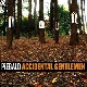 Piebald - Accidental Gentlemen