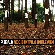 Piebald - Accidental Gentlemen [Cd]