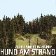 Hund Am Strand - Adieu Sweet Bahnhof