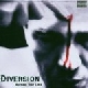 Diversion - Burning your Lies