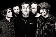 Donots - Donots News [Neuigkeit]