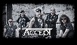 Accept - Accept an der Spitze der deutschen Charts [Neuigkeit]