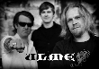 Ulme - "Wir sind noch nicht am Ende..."