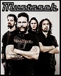 Mustasch - 10 Fragen an Mustasch [Interview]