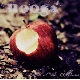 Rooga - Behind the Mirror