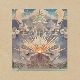 Junip - Fields
