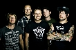 Donots - Donots: The Long Way Home Track by Track [Neuigkeit]