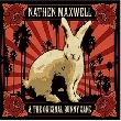 Nathen Maxwell & The Original Bunny Gang - Getrieben von Neugier [Konzertbericht]