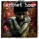 Darkest Hour - Undoing Ruin [Cd]