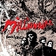 Millionaire - Paradisiac