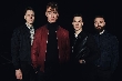 Don Broco - Kreischalarm bei Don Broco