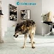 Grinderman - Grinderman 2