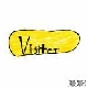 The Dodos - Visiter [Cd]