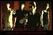 Yuppie Club - Der Yuppie Club und der Grease Soundtrack [Interview]