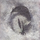 Suma - Ashes