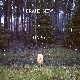 Brand New - Daisy [Cd]