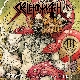 Skeletonwitch - Serpents Unleashed [Cd]