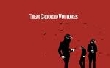 Them crooked vultures - Them Crooked vulture on Tour [Tourdaten]