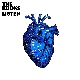 The Kooks - Listen