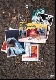 Tori Amos - Welcome To Sunny Florida DVD [Cd]