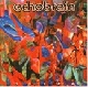 Echobrain - Glean [Cd]