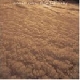 Pleasant Grove - The Art Of Leaving