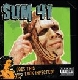 Sum 41 - does this look infected [Cd]