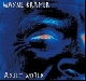 Wayne Kramer - Adult World
