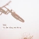 Luke - In Less Than No Time